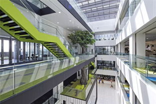 揭秘基金交易員 從圖書館到網絡技術研發的辦公革命